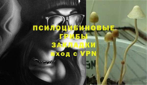 эйфоретик Балахна