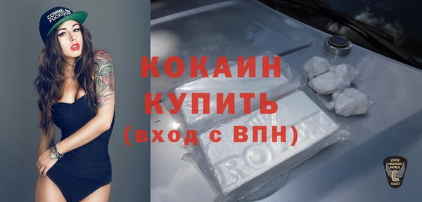 прущие грибы Медногорск