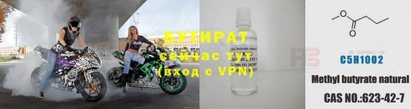 прущие грибы Медногорск