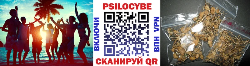блэк спрут маркетплейс  Трубчевск  Псилоцибиновые грибы Magic Shrooms 